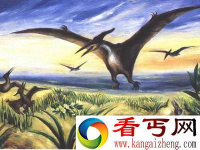 恐龙
