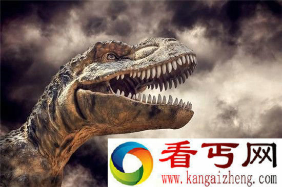 克隆恐龙无望 人类从未获得过恐龙的DNA！
