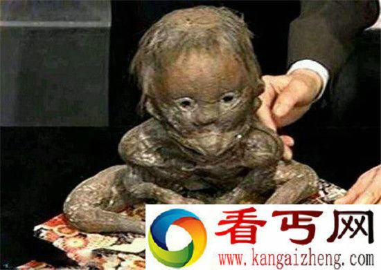 世界18大神秘生怪兽生物恶魔还是怪兽？