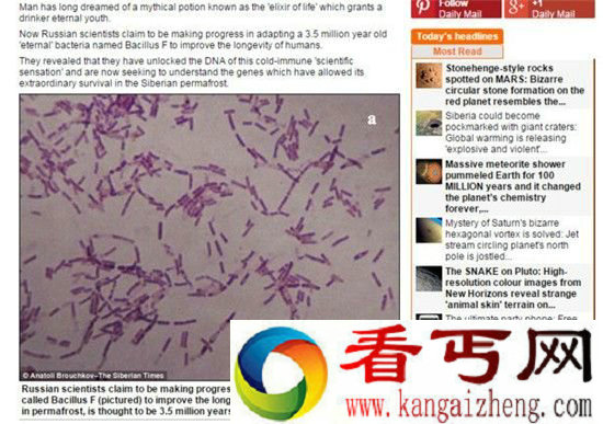 350万年前“永生”细菌复活　竟能使人长生不老