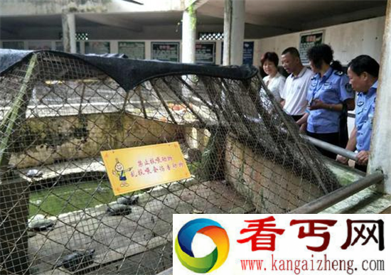 海口动物园成炼狱 动物变死尸太恐怖