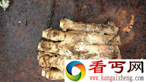 十大灵异事件