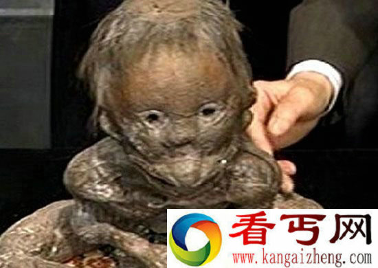 河童长什么样？十大神秘生物之一水猴子水鬼