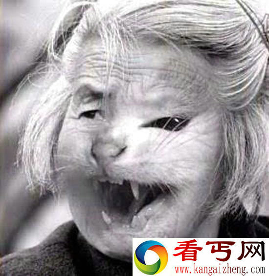 猫脸老太太是真的吗？猫脸老太太事件始末