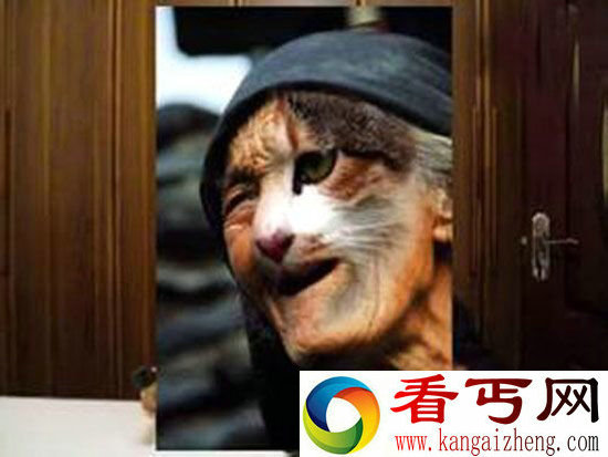 猫脸老太太事件真相遭猫扑诈尸还魂