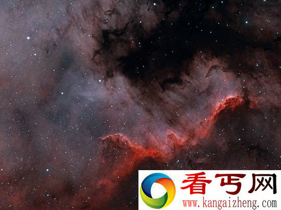 寻找创世星辰 生命之美与之狂奔