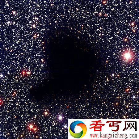 寻找创世星辰 生命之美与之狂奔