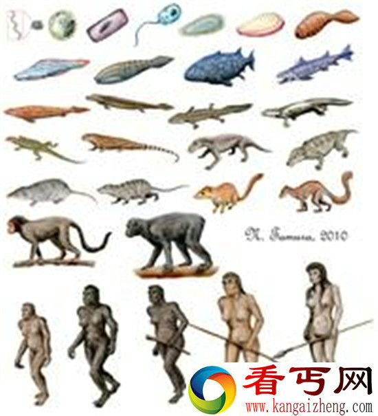 远古生物物种大灭绝 引发“生物超级进化”