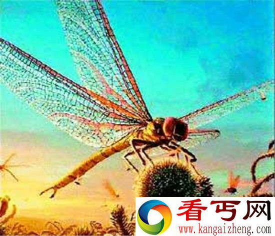 南极巨虫长达3米 盘点全球10大巨型恐怖昆虫