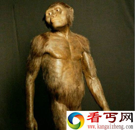 人类祖先是大脚野人？动物祖先都是远古巨兽