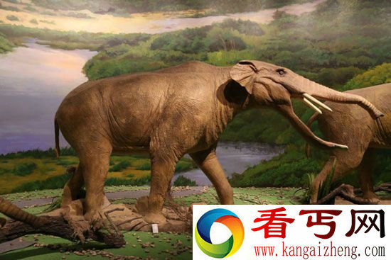 人类祖先是大脚野人？动物祖先都是远古巨兽