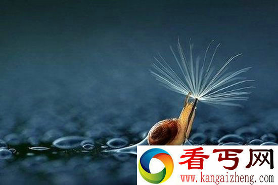 蠢萌！可爱小动物最雷人避雨方式 (组图)