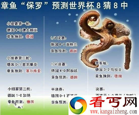 纪念逝去的章鱼帝 章鱼保罗