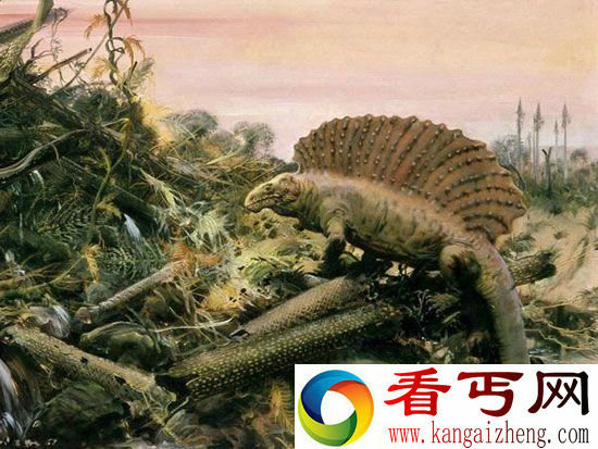 生物大灭绝