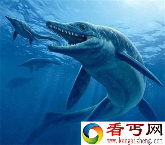 美国考古惊现神秘海怪 1.6亿年前神秘生物曝光