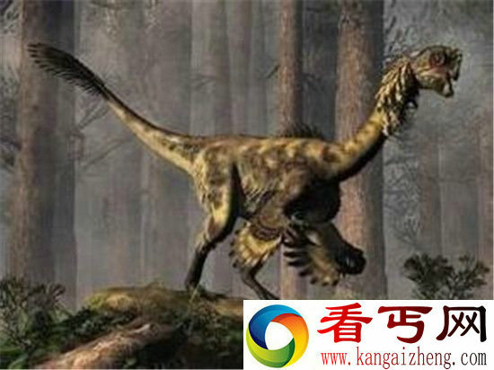 科学家考古发现琥珀含恐龙羽毛 可实现飞行和潜水