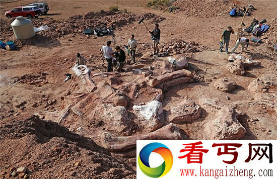 阿根廷惊现世界最大恐龙化石 体长竟达35米！