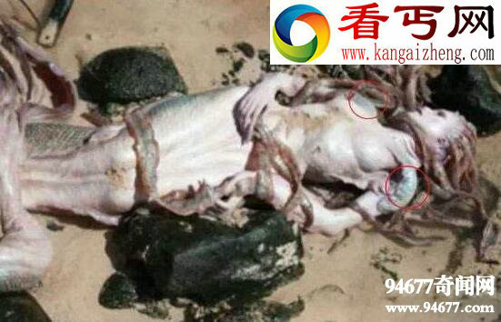 世界未解之谜诡异图片，震惊世界的恐怖事件