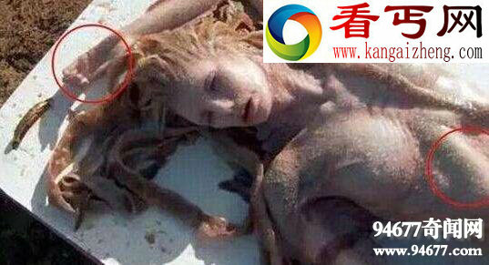 世界未解之谜诡异图片，震惊世界的恐怖事件