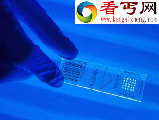 一克DNA储存信息相当千亿张DVD光盘