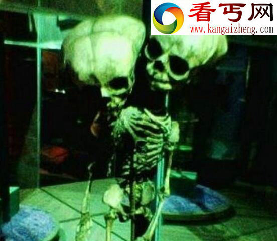 超惊悚的泰国恐怖博物馆，最畸形变态的人体收藏