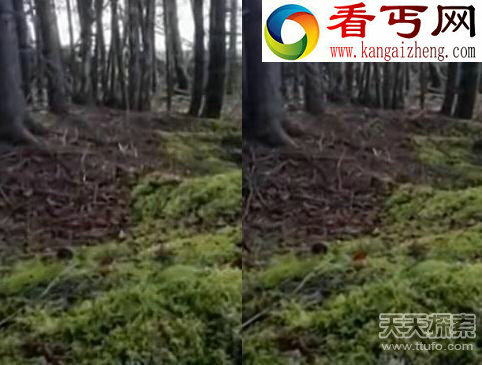 各地诡异事件超速司机遭不知名物体追逐