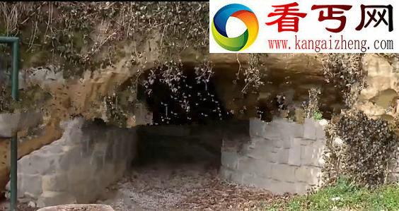 最恐怖不可思议的地下世界