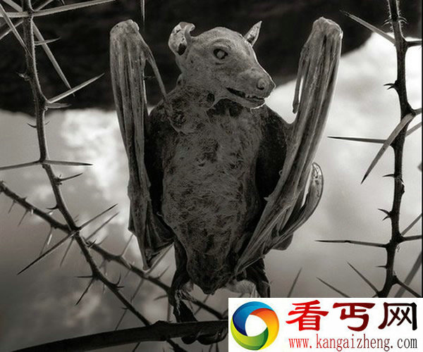 恐怖“纳特龙湖” 任何碰触到湖水的动物化为石头