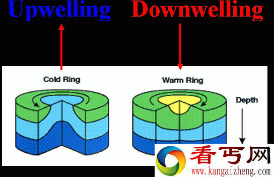 发生在海底的搬家故事