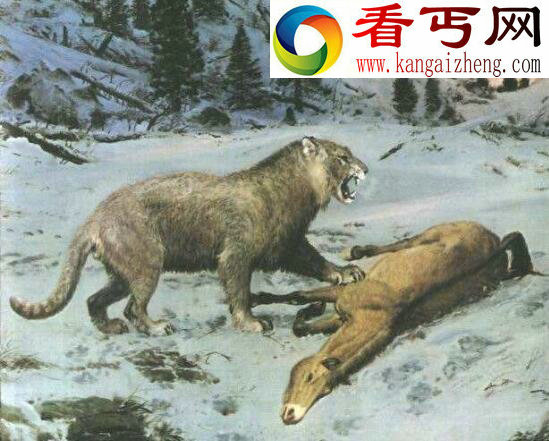 欧洲洞狮，冰河世纪末的霸主