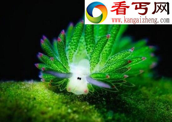 盘点世界上最奇怪的事，科学家都无法解释的奇异现象