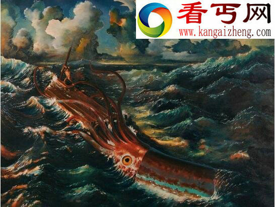 世界上最大的无脊椎动物，大王酸浆鱿(海怪原型)