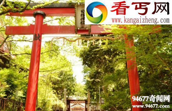 世界上最不正经的神社，女人欲求不满供奉男根