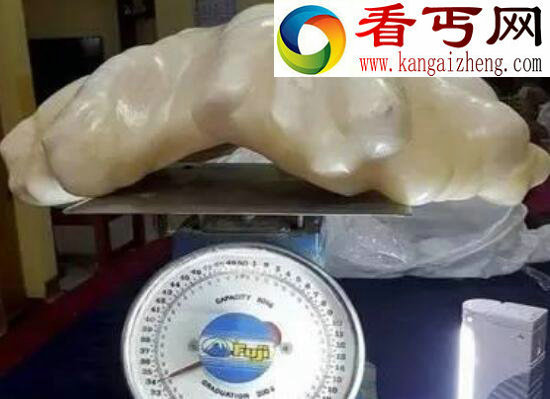 世界上最大的珍珠有多大，世界上最大的珍珠是如何被发现的