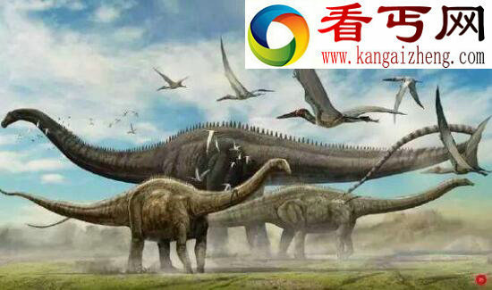 世界上最大的动物有多大?盘点十个恐怖的巨型生物