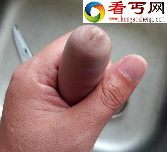 世界上最邪恶的食物，“海肠子”单环刺螠让人无法直视
