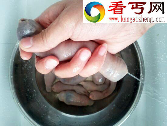 世界上最邪恶的食物，“海肠子”单环刺螠让人无法直视
