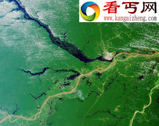 世界上最大的平原，南美洲亚马逊平原(560万平方千米)