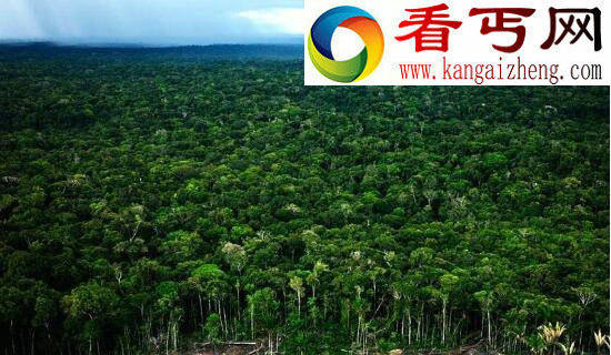 世界上最大的平原，南美洲亚马逊平原(560万平方千米)