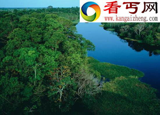 世界上最大的平原，南美洲亚马逊平原(560万平方千米)