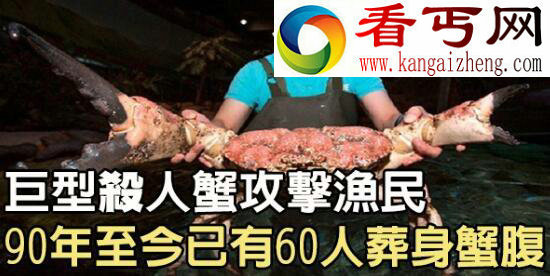 世界上最大的螃蟹，巨型杀人蟹体长4米不杀人