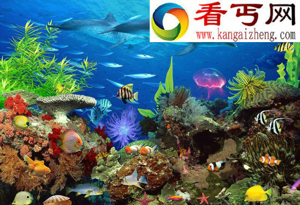 全球8大魔力水族馆 奇幻海底世界都在这里！