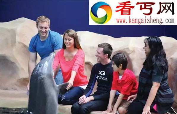 全球8大魔力水族馆 奇幻海底世界都在这里！