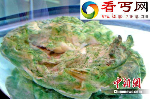 不明水生物盘点