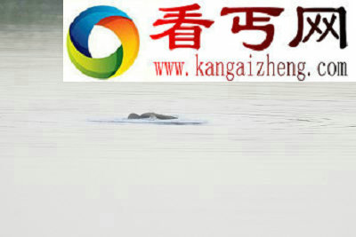 不明水生物盘点