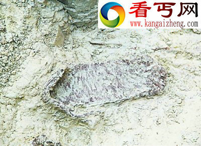 杭州考古新发现破解诸多历史谜团