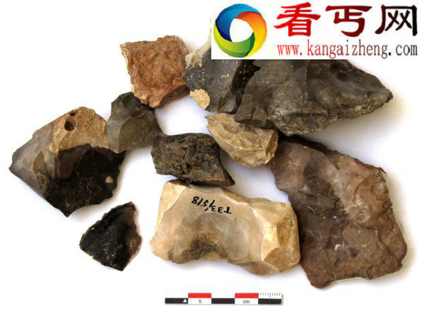 人类大约在距今35万年前开始有规律地使用火