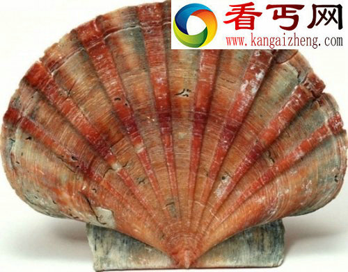 人们如何推断已灭绝动物的颜色？