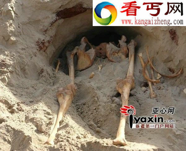 古代东西方基因交流有待探索