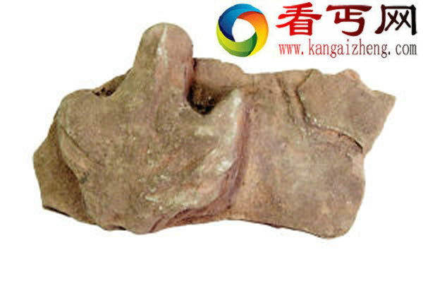 坍塌石墙上发现恐龙足迹化石